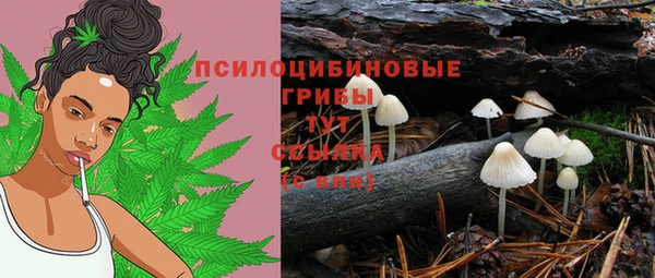 гидра Балахна