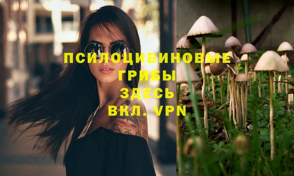 каннабис Баксан