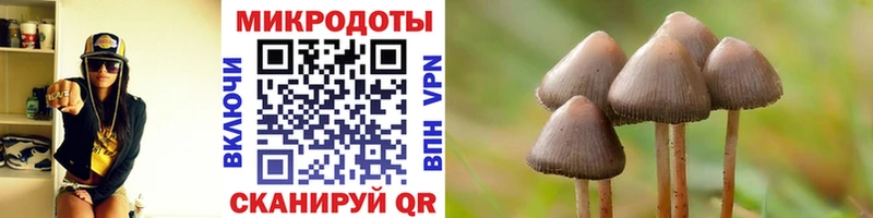 Галлюциногенные грибы MAGIC MUSHROOMS  блэк спрут как войти  Кондрово 
